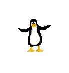 penguin_-_front_flip.gif